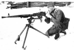 Fig 43a Fuchs in Russia